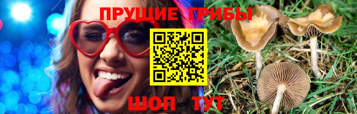 Улан-Удэ  Галлюциногенные грибы мухоморы  купить наркотики сайты  Вход с VPN 